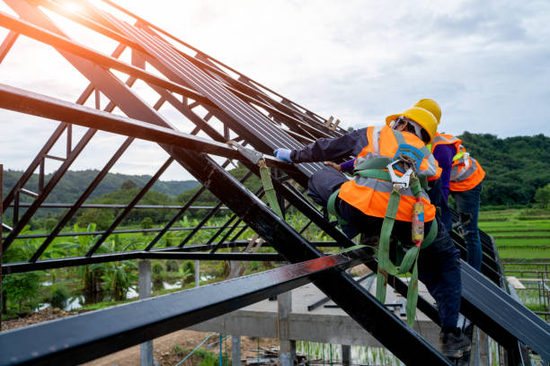 Best Metal Roofing Contractor  in Madison Heights, MI