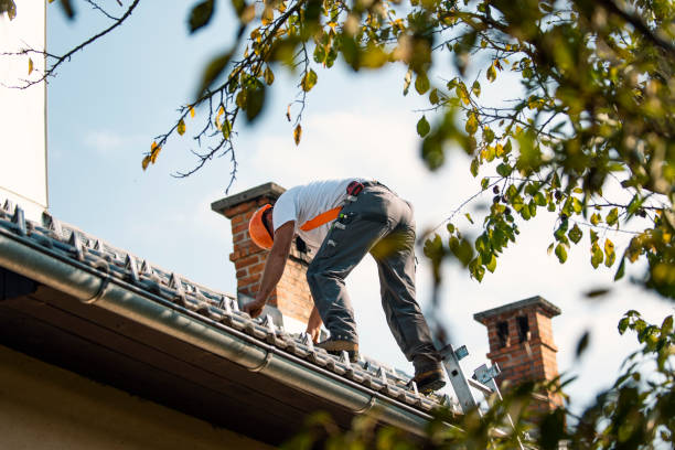 Best Roof Waterproofing Services  in Madison Heights, MI