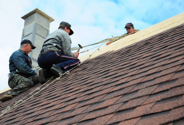 Best Storm Damage Roof Repair  in Madison Heights, MI